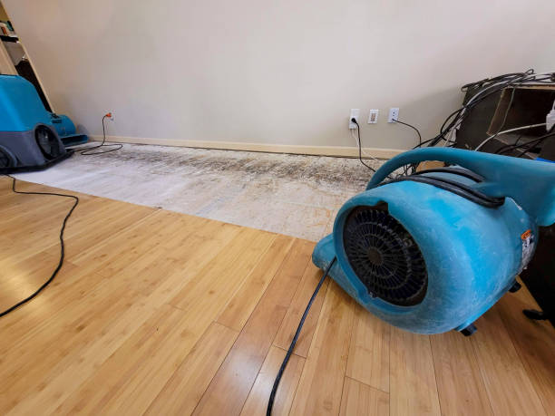 Professional Water Removal technician working in Frankfort, KY